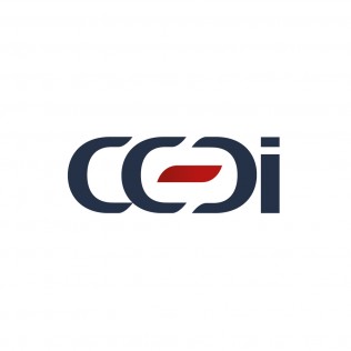 Positionnement de communication agence marquante Logo CCDI